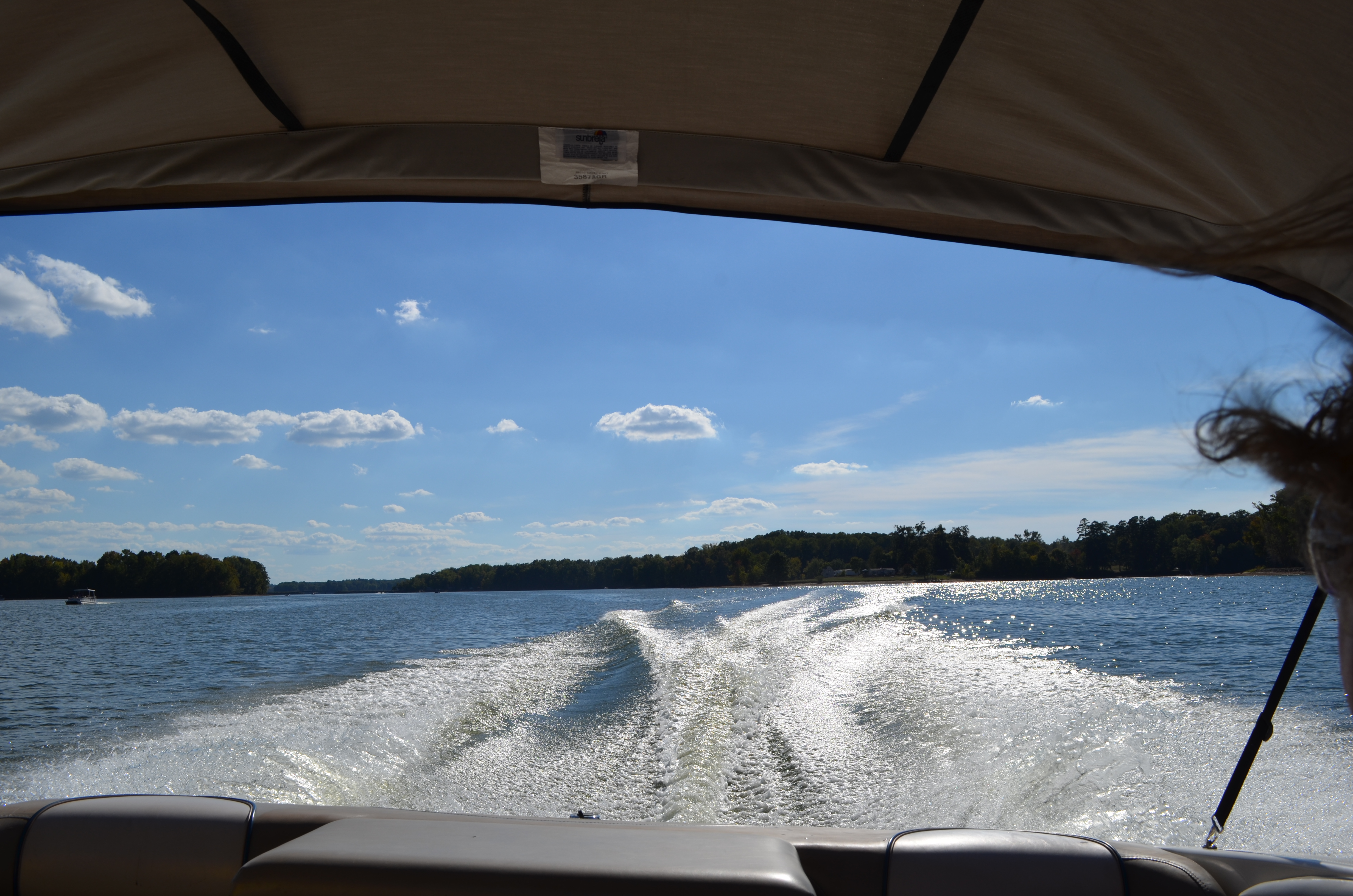 ./2015/23 - Grape Stomp/DSC_0674.JPG